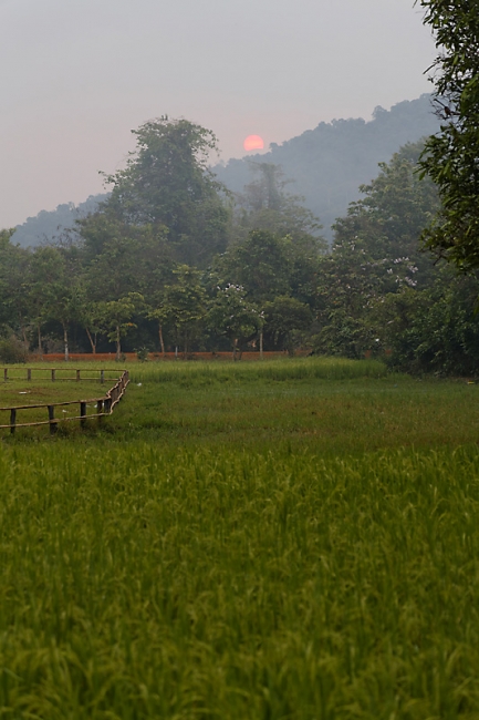Banteay Srei-003